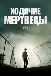 Ходячие мертвецы 4 сезон (2013)